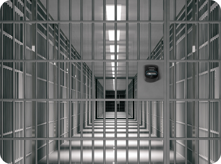 fingerprint and face