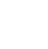 10+ AI algorithms in parallel